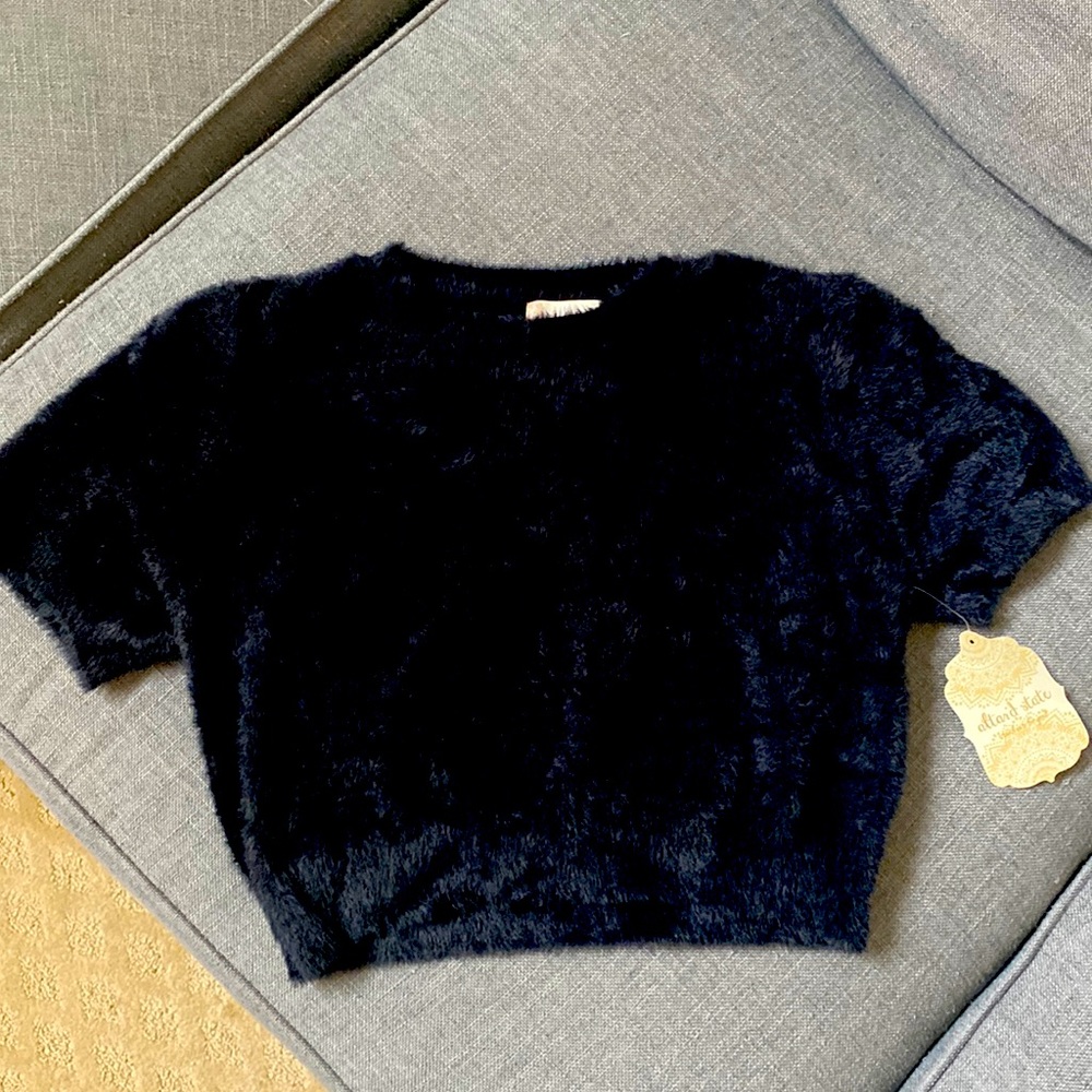 Furry Altar’d state black crop top